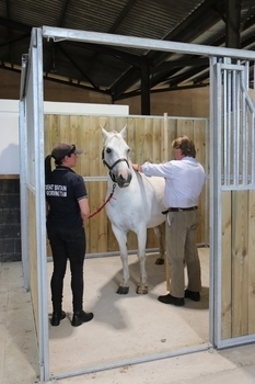 Pony Measuring 15 September 2026 Pony Measuring 15 September 2026